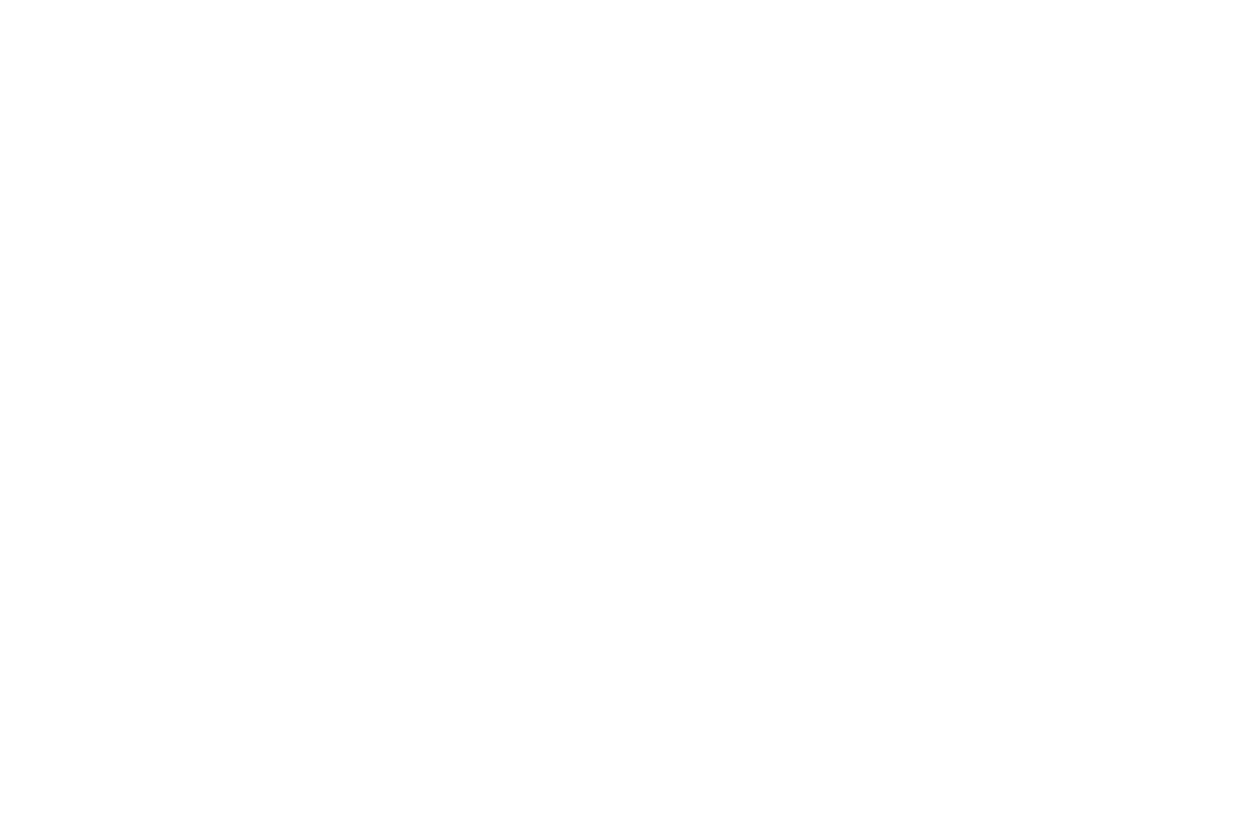 Vaahaka by Ann